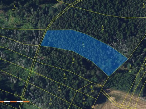 Prodej lesního pozemku 4.384 m2, Vratislávka, Brno-venkov