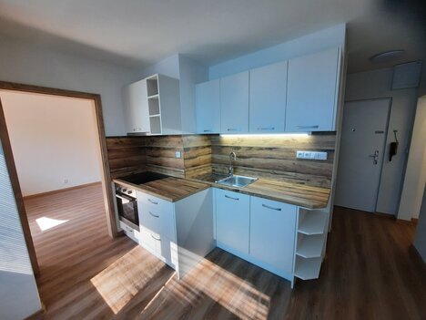 Prodej bytu 2+1 po rekonstrukci, Hrušovany u Brna, 58 m²
