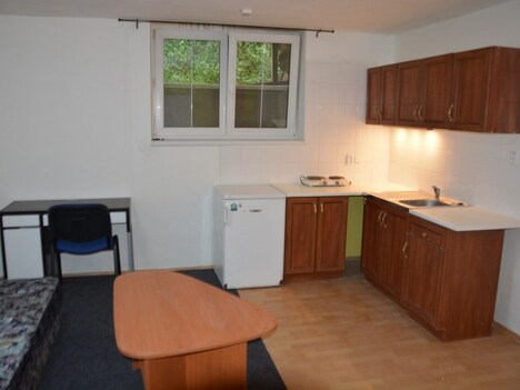 Pronájem bytu 1+kk Brno-Černovice UP 29 m2