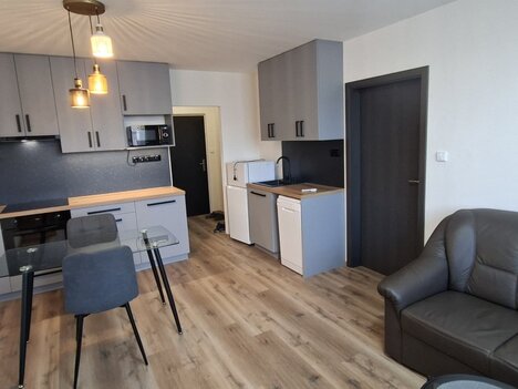 Pronájem zrekonstruovaného bytu 2+kk, 53 m2, Brno-Řečkovice